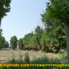 عکس های زیبای شهرقدس